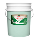BE BEAUTY Pedicure Spa Gel Scrub Mint